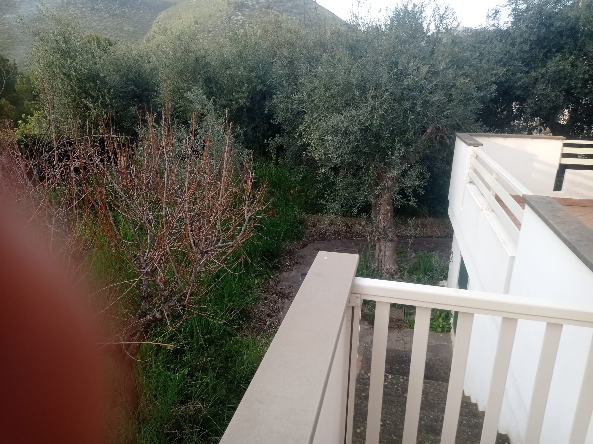 Immagine WhatsApp 2025-03-23 ore 11.22.00_1a488aad