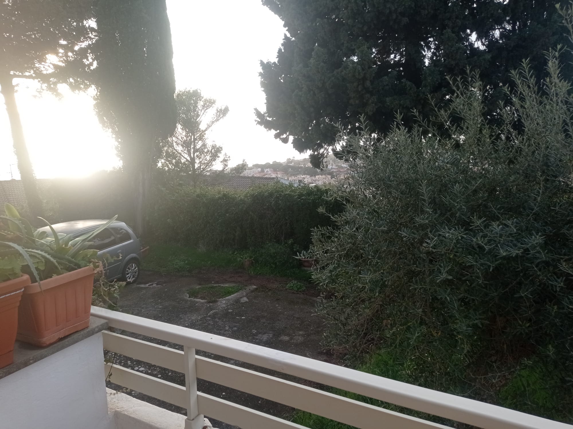Immagine WhatsApp 2025-03-23 ore 11.22.00_1f08f983
